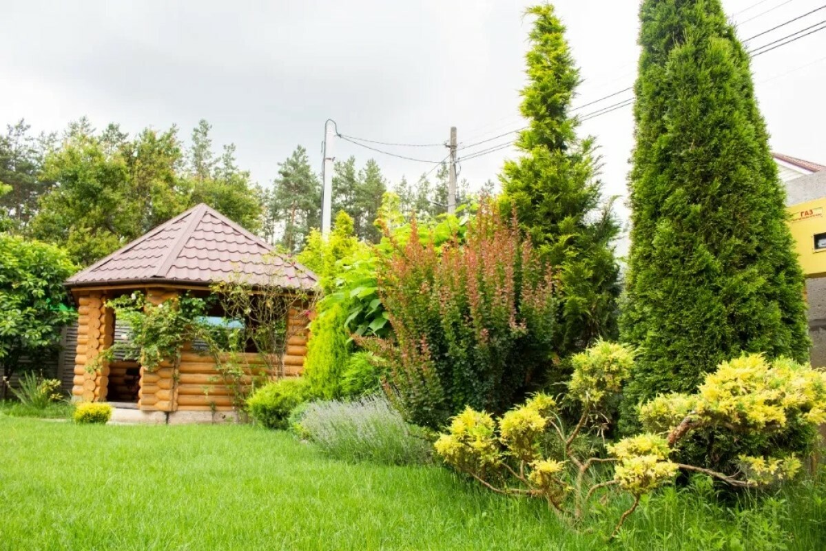 https://kaspijsk.tgv-stroy.ru/storage/app/uploads/public/637/ef4/fb3/637ef4fb3605f391429275.png